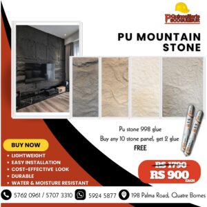 pu-stone-mountain