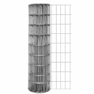 galvanized-welded-wire-mesh-roll